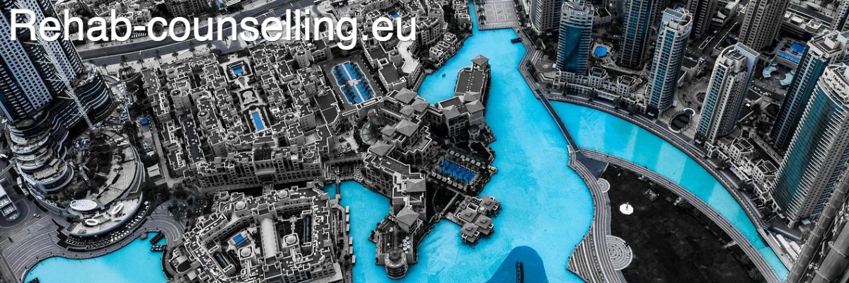 rehab-counselling.eu